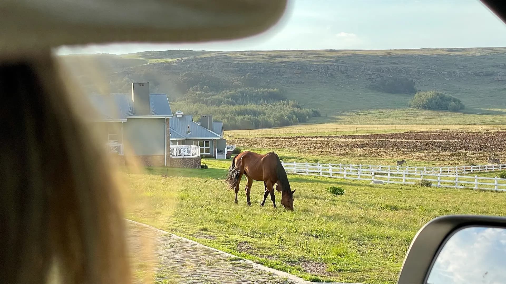 Pequeño lightweight steel frame home in Dullstroom