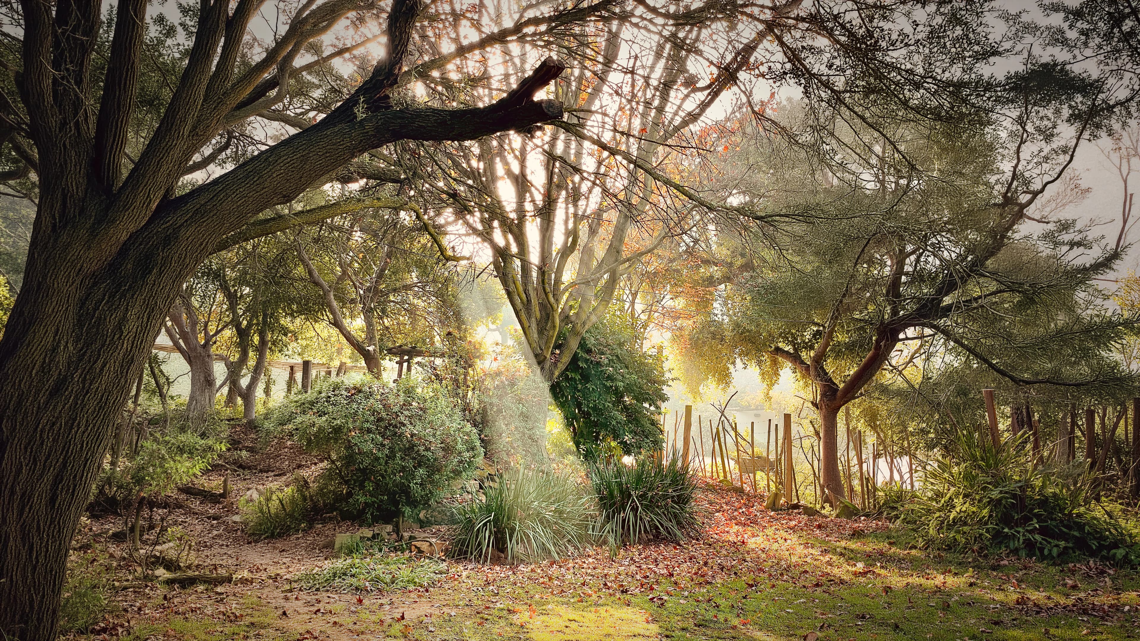 Pequeño lightweight steel frame home in Pretoria
